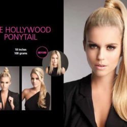 The Hollywood Ponytail
